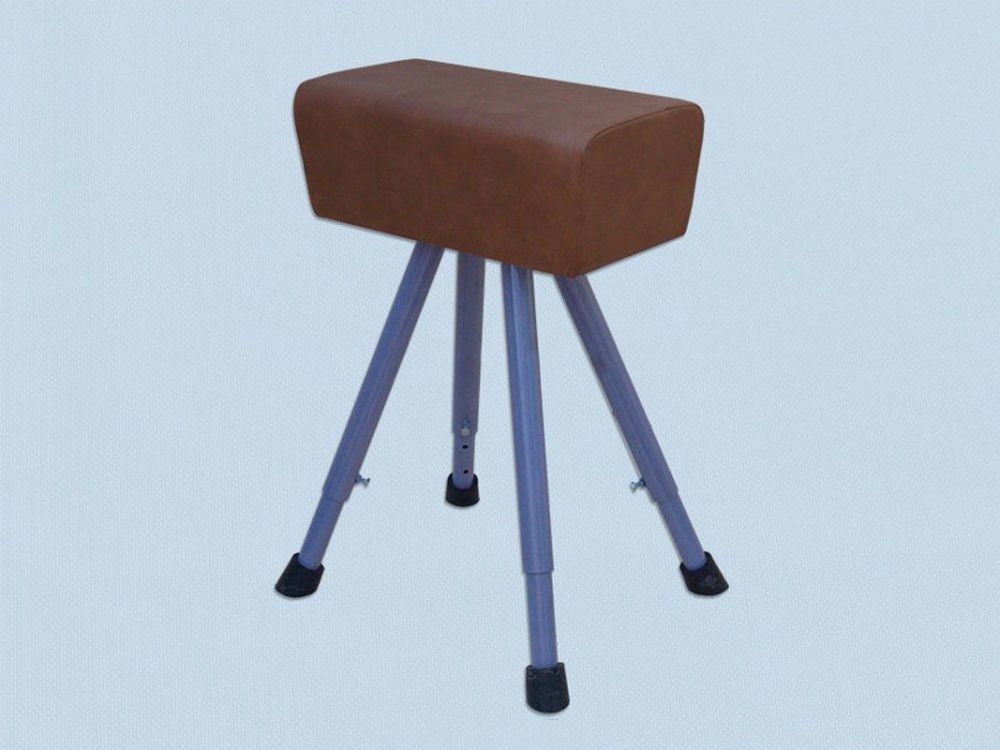 Козёл гимнастический эконом  Pioner A14728