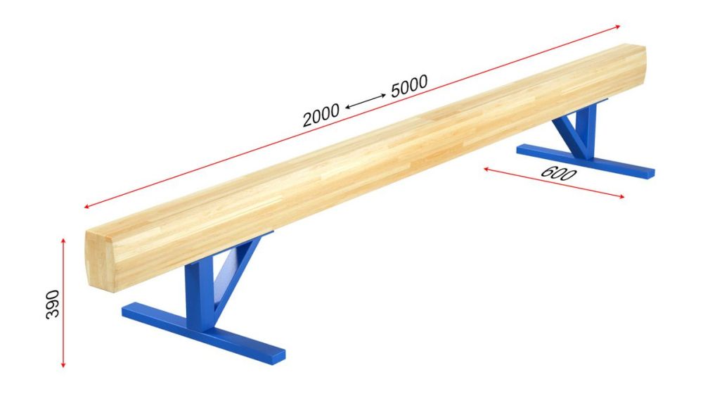 Бревно гимнастическое низкое L=3 м  Pioner A13553