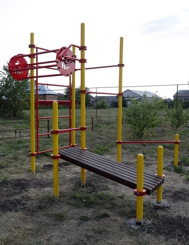 Комплекс для занятий Воркаут Pioner A16762