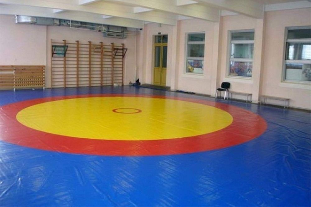 Ковер борцовский 12х12 м основа Э (экв. ПВВ 200 кг/м3) толщина 4 см  Pioner A11574
